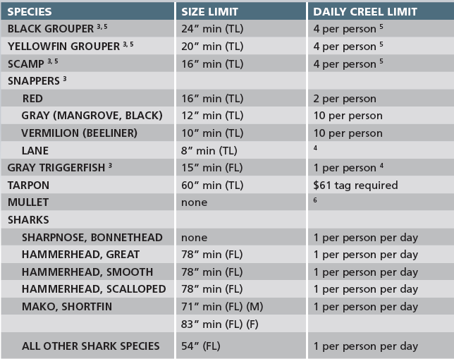 Species 2